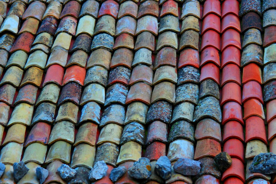 Red colors colorful