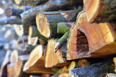 Logs firewood pile of wood photo