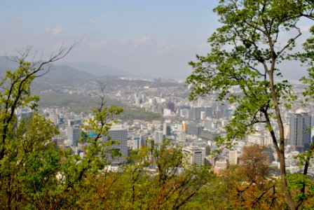 Namsan Park Spring 2016