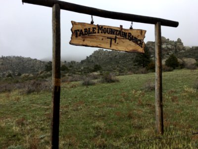 Ranch Dreams
