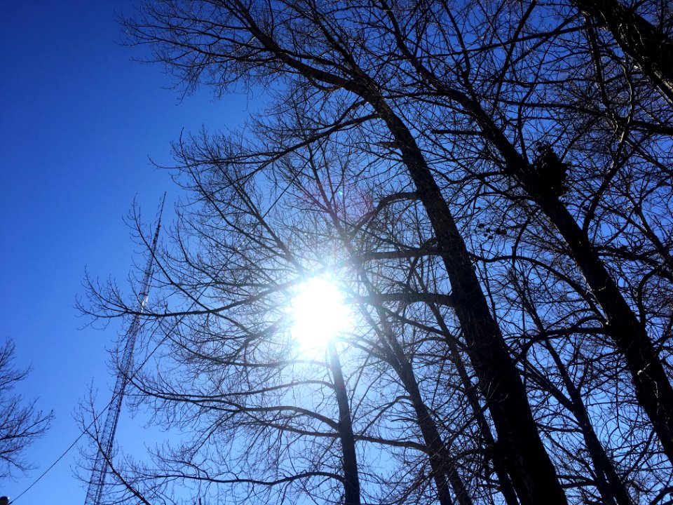 Lines and Light in the Sky