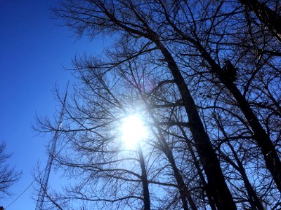 Lines and Light in the Sky
