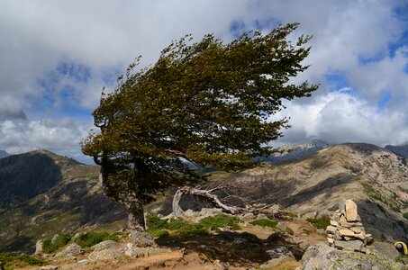 Curved shaft nature landscape