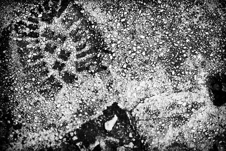 Footprint cement black and white
