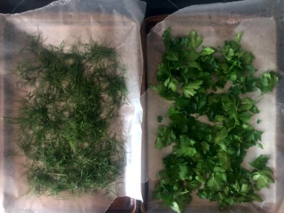 Project Herbs All Winter