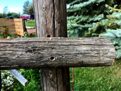 Attaching the Last Fence Post photo