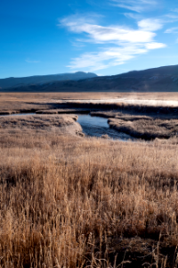 Morning View on the Refuge