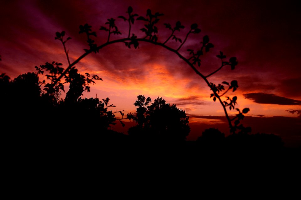 Atardecer