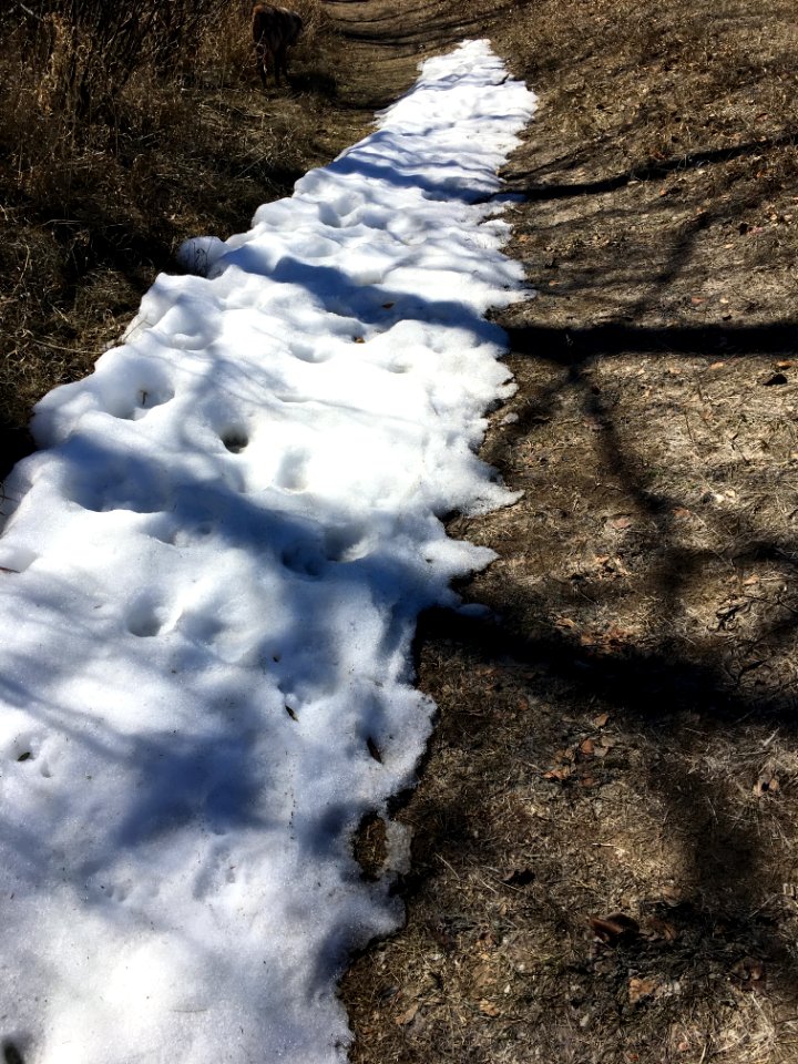 Last Snow Resverves