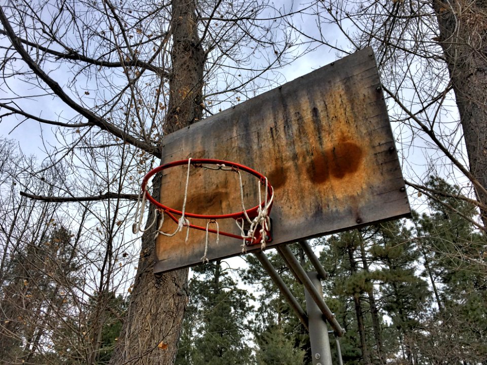 Forest Rules Hoops