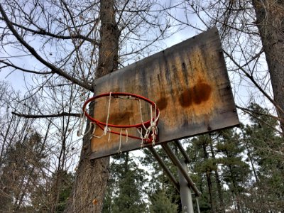 Forest Rules Hoops