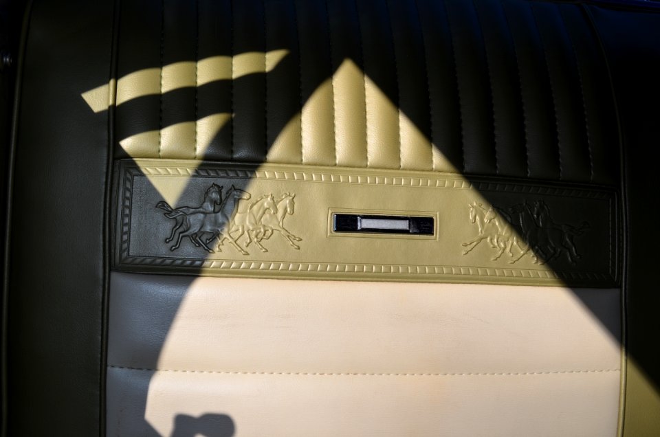 Mustang "Pony" Interior