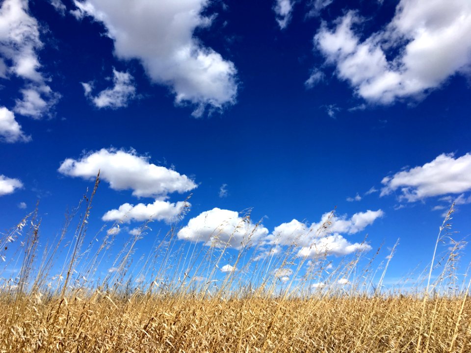 2019/365/97 Earth Meets Sky