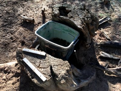 Feed or Water Bin?