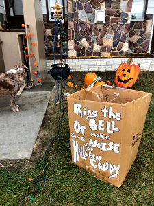 Trick or Treat Instructions