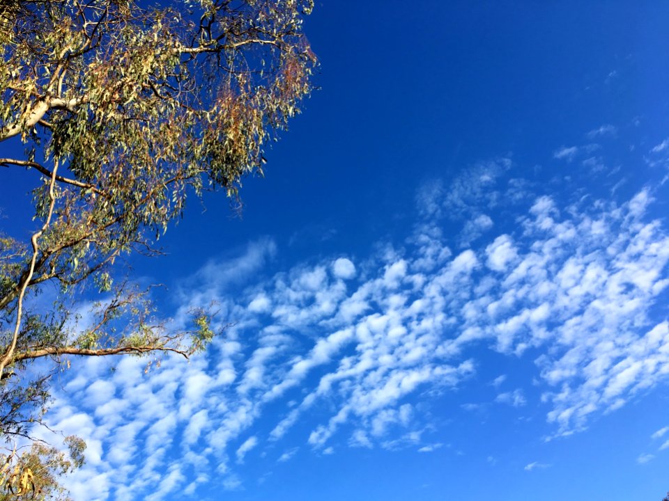 Morning in Wagga Wagga