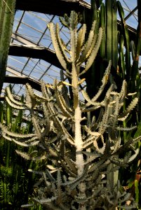 Asan Botanical Garden