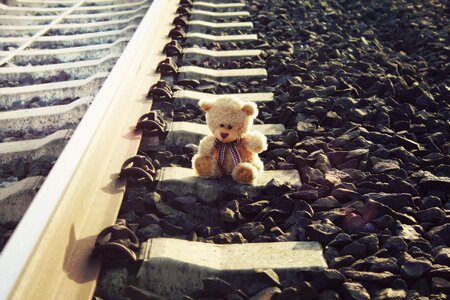 Bear sun cold