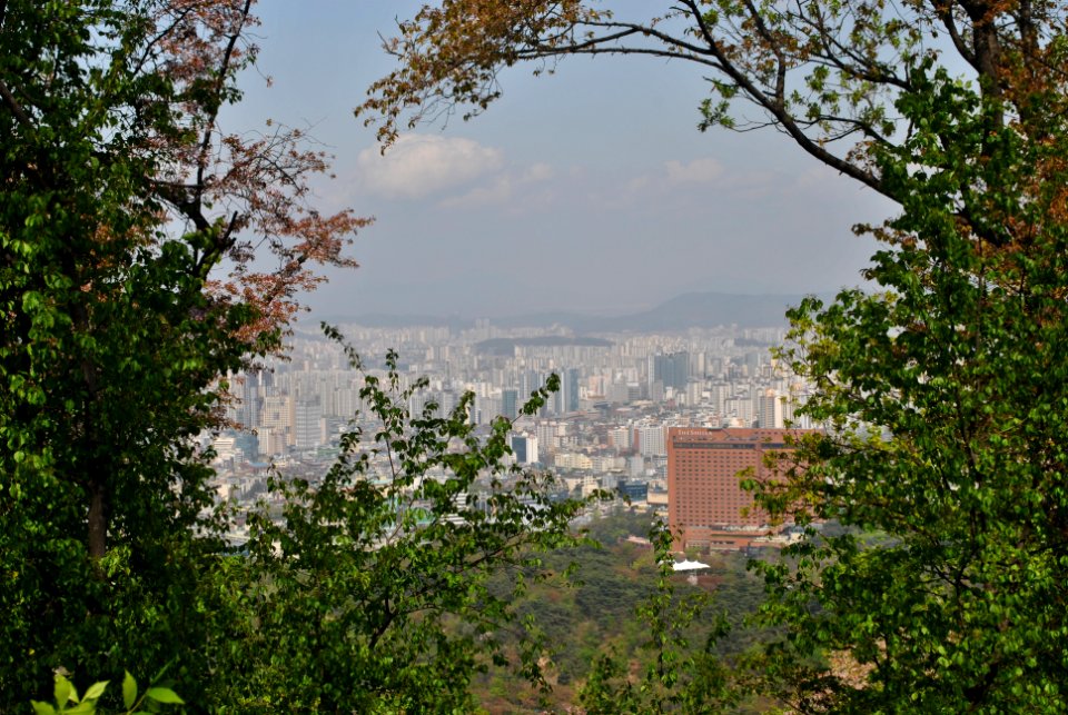 Namsan Park Spring 2016