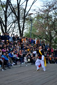 Namsan Park Spring 2016