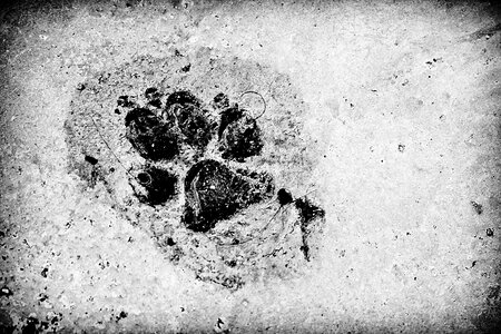 Black and white water cement