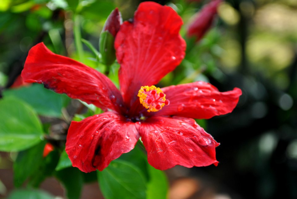 Asan Botanical Garden