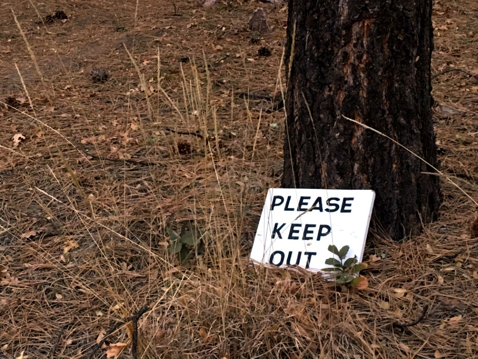 A Little "Please" Goes a Long Way