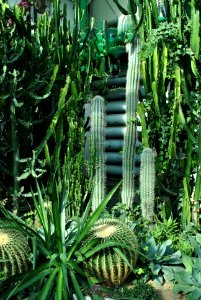 Asan Botanical Garden