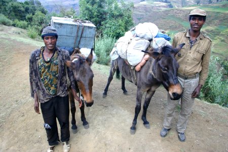 Porters with donkeys, Simien Mountains National Park, Ethiopian Highlands photo