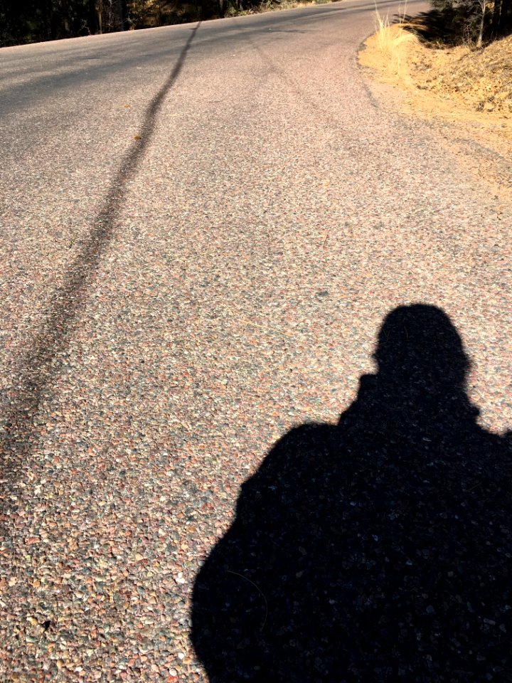 Shadow Selfie