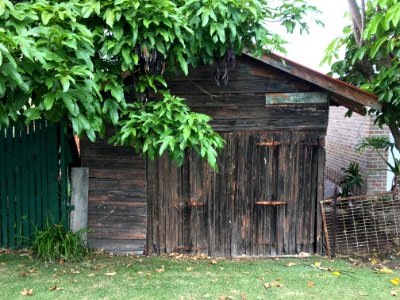 DH's Shed?