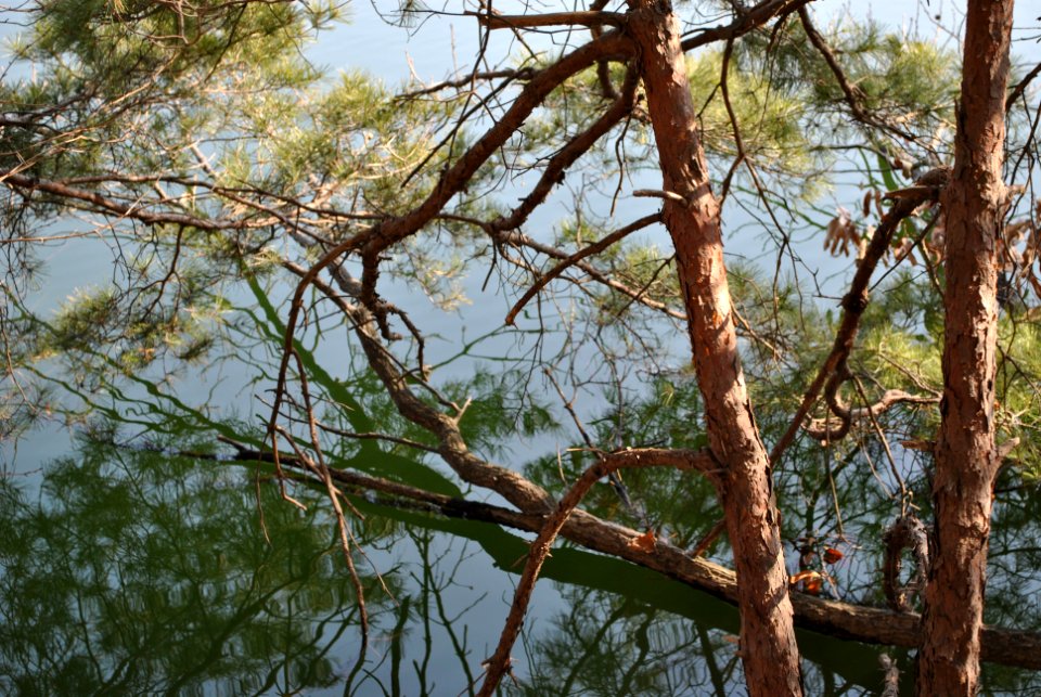 Madun Reservoir