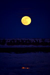 Moon rise at Seedskadee National Wildlife Refuge