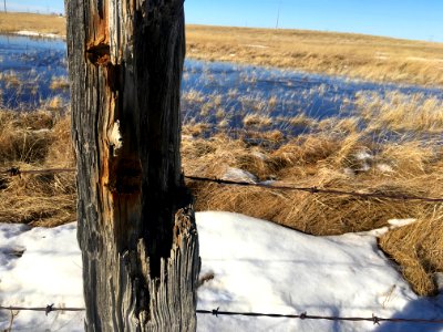 Fence Post Face photo