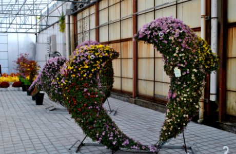 Asan Botanical Garden