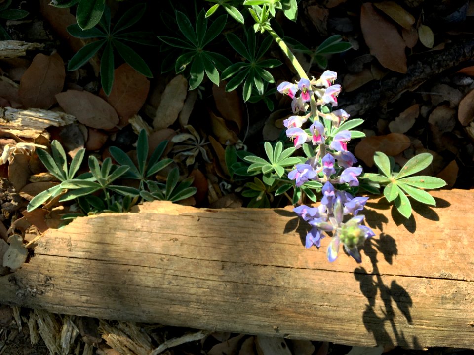 Finding Beauty in Unexpected Places