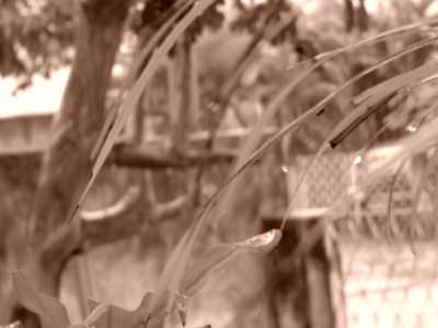 Winter, 2004