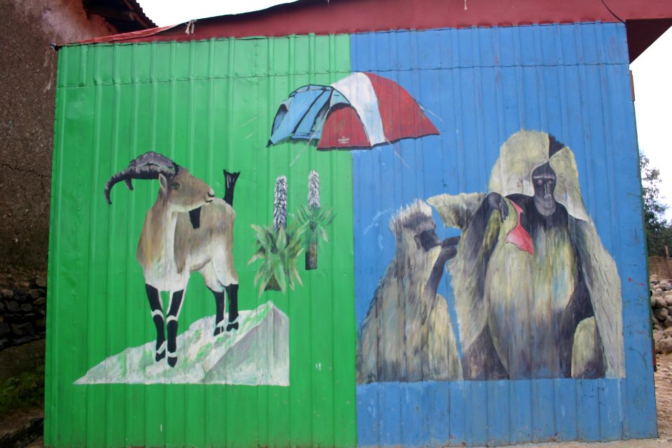 artwork of Walia Ibex and Gelada baboon on cabin of trekking equipment supplier in Debark