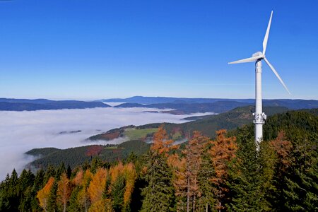 Autumn colours autumn mood wind energy