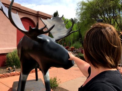 Canadian Moose Blessing photo