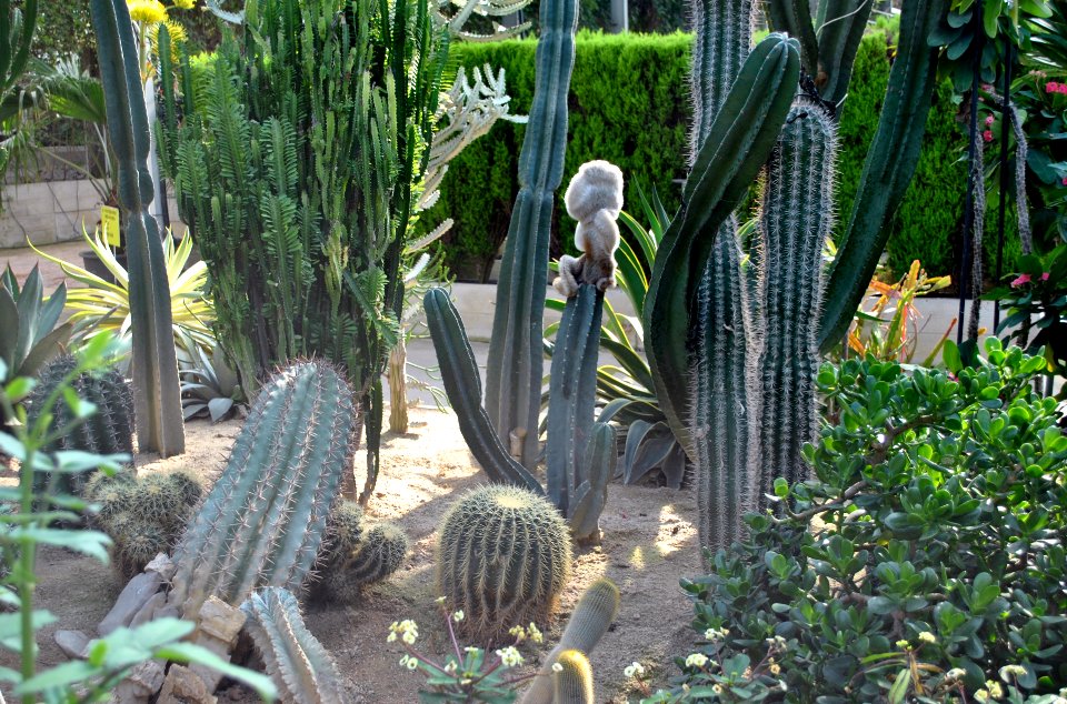 Asan Botanical Garden