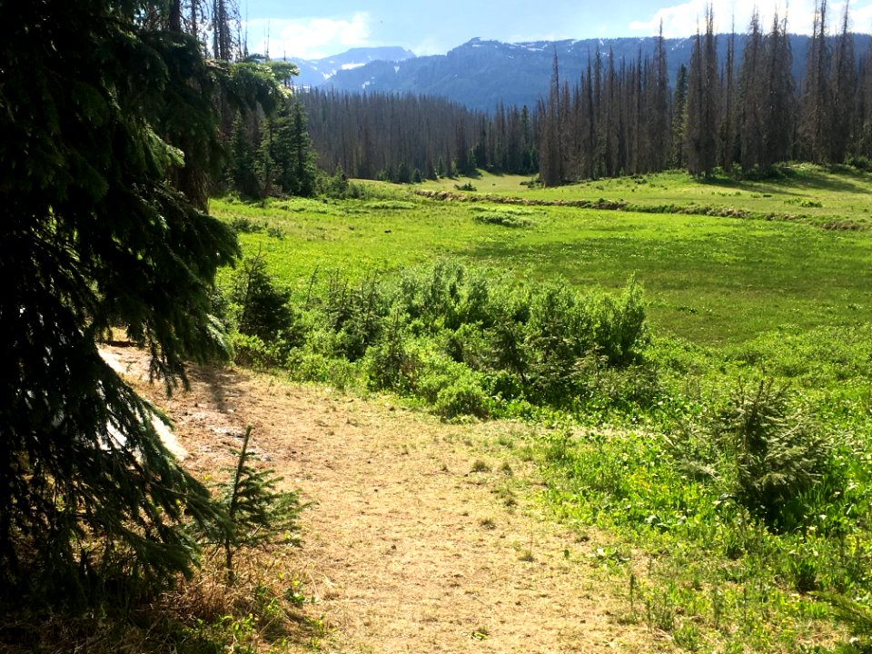 Big Beautiful Colorado