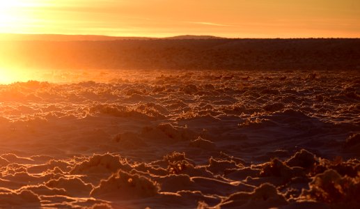 Sage steppe in winter at Seedskadee National Wildlife Refuge