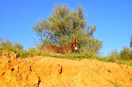 Desde mi Atalaya