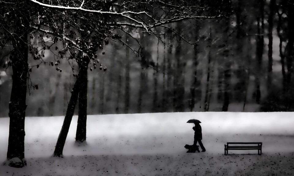 Season nature snow