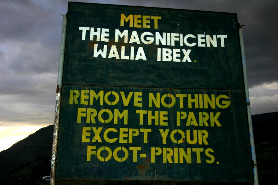 Walia ibex sign, Simien Mountains National Park, Ethiopian Highlands