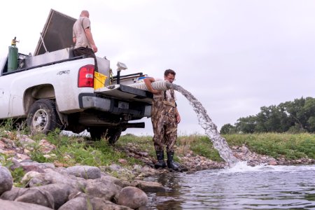 Moving Fish by Truck photo