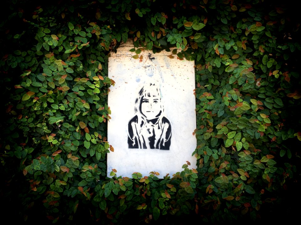 Mystery Girl in a Hedge