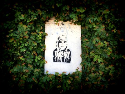 Mystery Girl in a Hedge