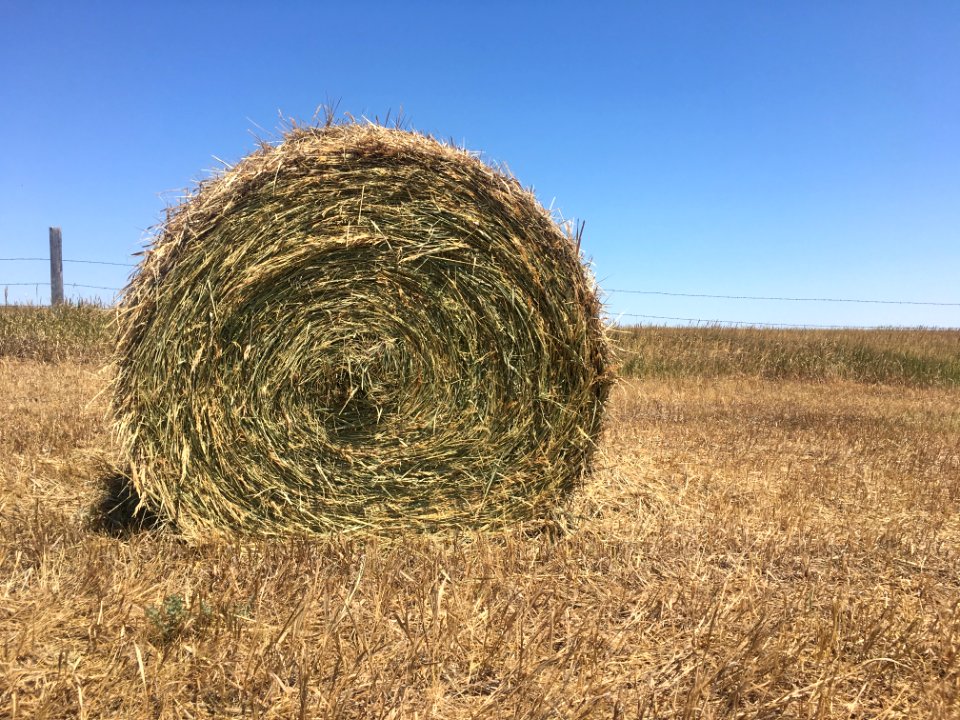 Hay Round